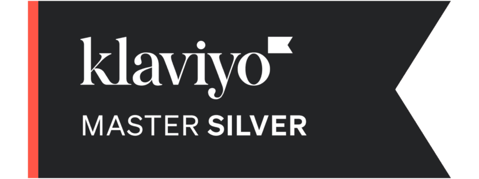 Klaviyo Master Silver Partner